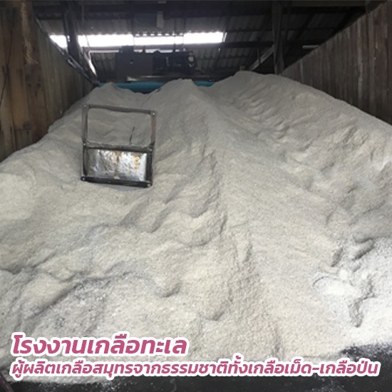 โรงงานเกลือป่นแม่กลอง - เกลือหมักดองอาหารราคาถูก โรงงานเกลือป่นแม่กลอง - เกลือหมักดองอาหารราคาถูก